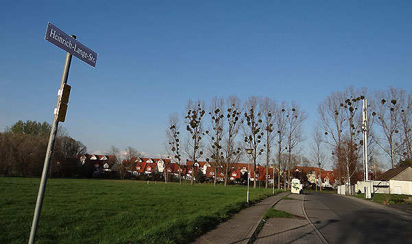 Baumschäden Dresden