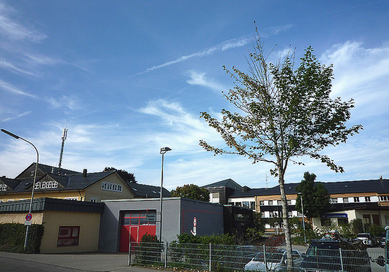 Baumschäden in Sonthofen ( OA