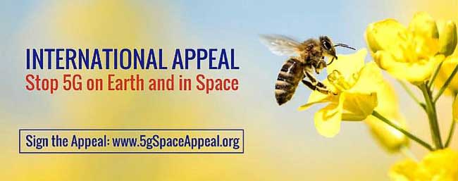 Space Appeal