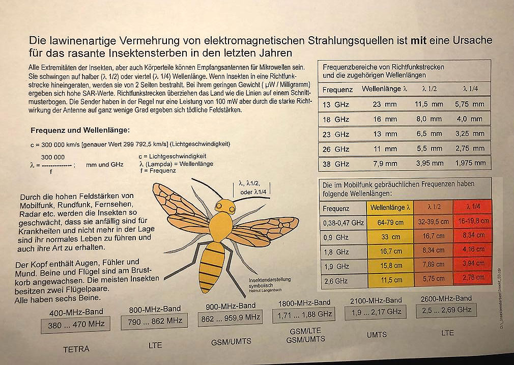 Bienen_EMF