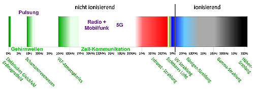 Frequenzspektrum